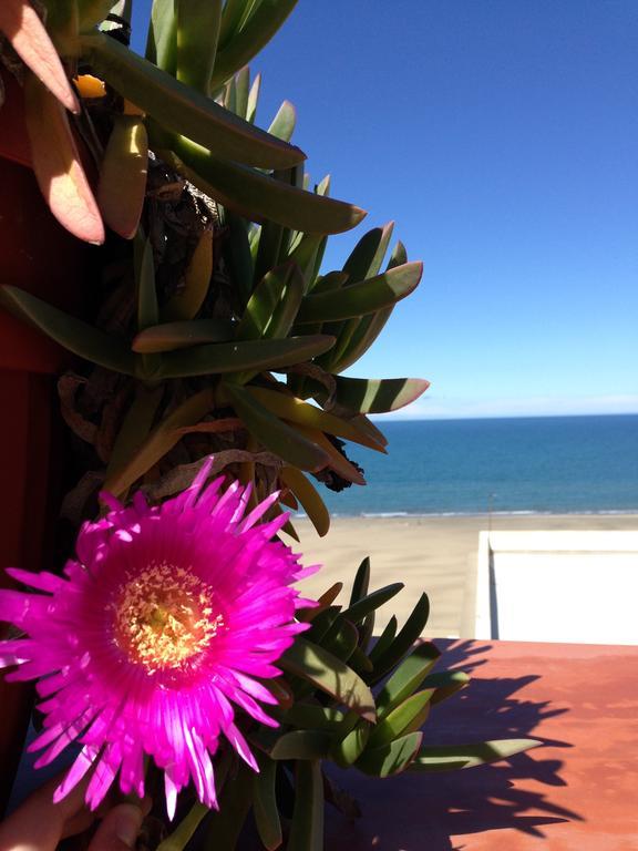 Little Paradise Casa Vacanze Margherita Di Savoia Exteriör bild